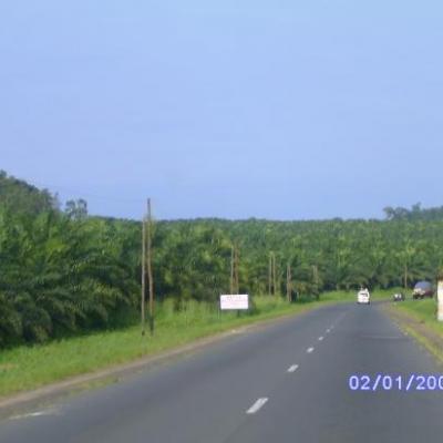 South-West