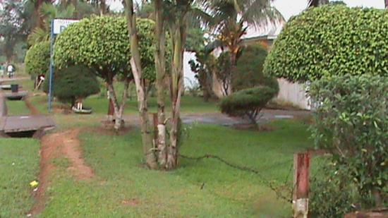 Kribi
