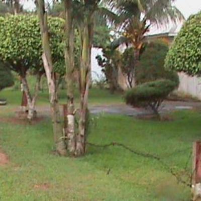 Kribi