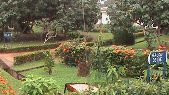 Kribi
