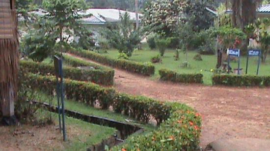 Kribi