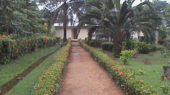 Kribi