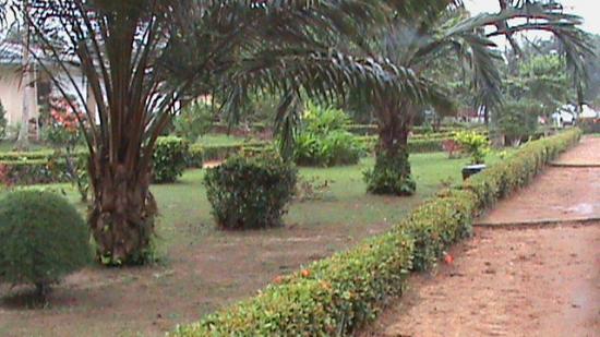 Kribi