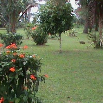 Kribi