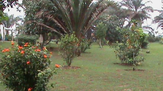 Kribi