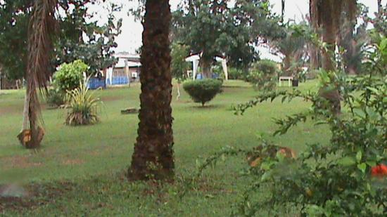 Kbribi