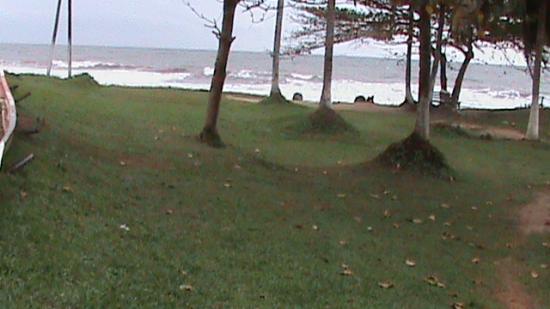Kribi