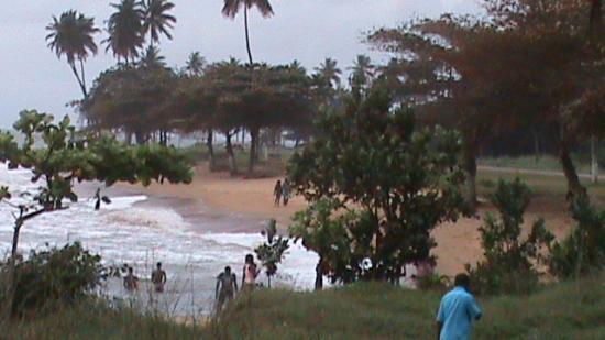 Kribi