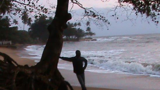 Kribi